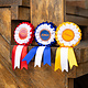 Hobby Horse Rosette Pack