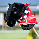 LeMieux Hobby Horse Flower Sash