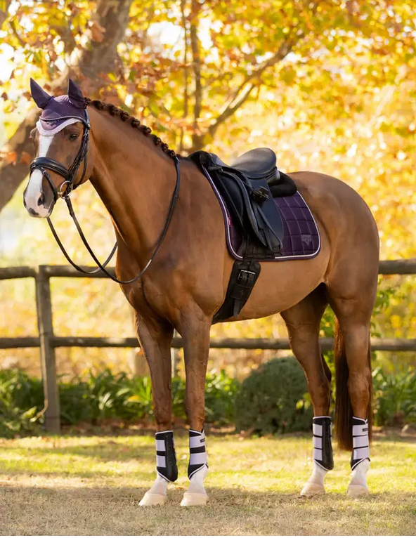 LeMieux Lemieux Loire Merino Plus, Dressage, Juniper Large