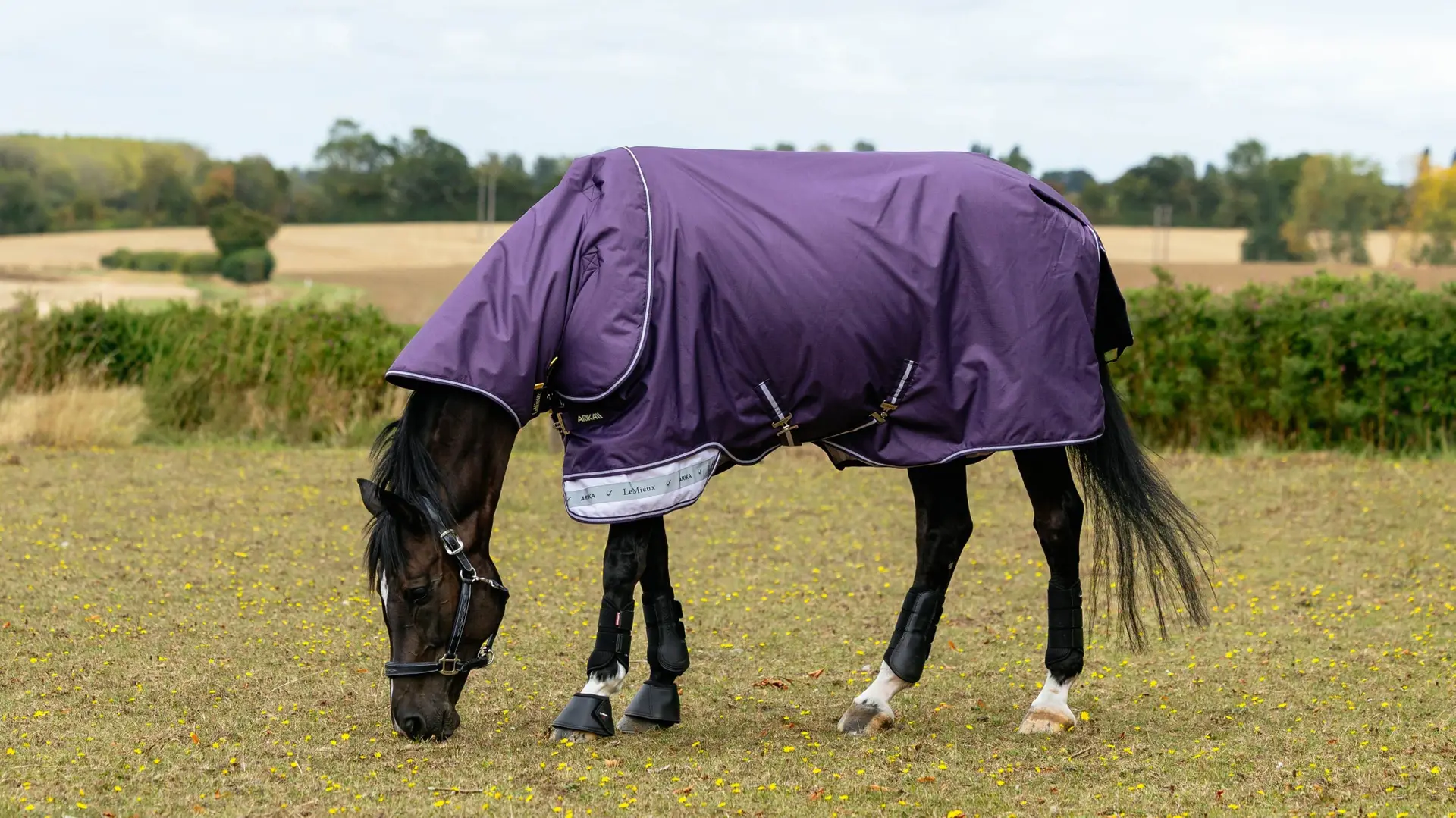 Arika Ripstop 0g Turnout Rug