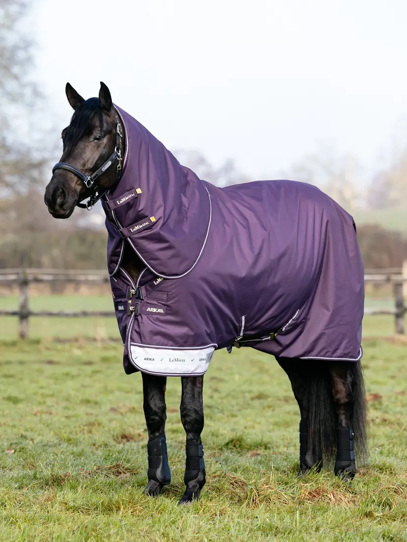 Arika Ripstop 0g Turnout Rug