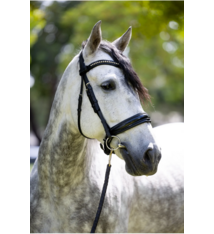 Bridleberry Bridleberry #51 Extra Padded Snaffle Bridle, Patent Leather Noseband & Crystal Browband