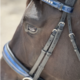 Bridleberry Bridleberry #57 Extra Padded Snaffle Bridle, BLUE Patent Leather Noseband & Crystal Browband