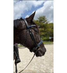 Bridleberry Bridleberry #57 Extra Padded Snaffle Bridle, BLUE Patent Leather Noseband & Crystal Browband