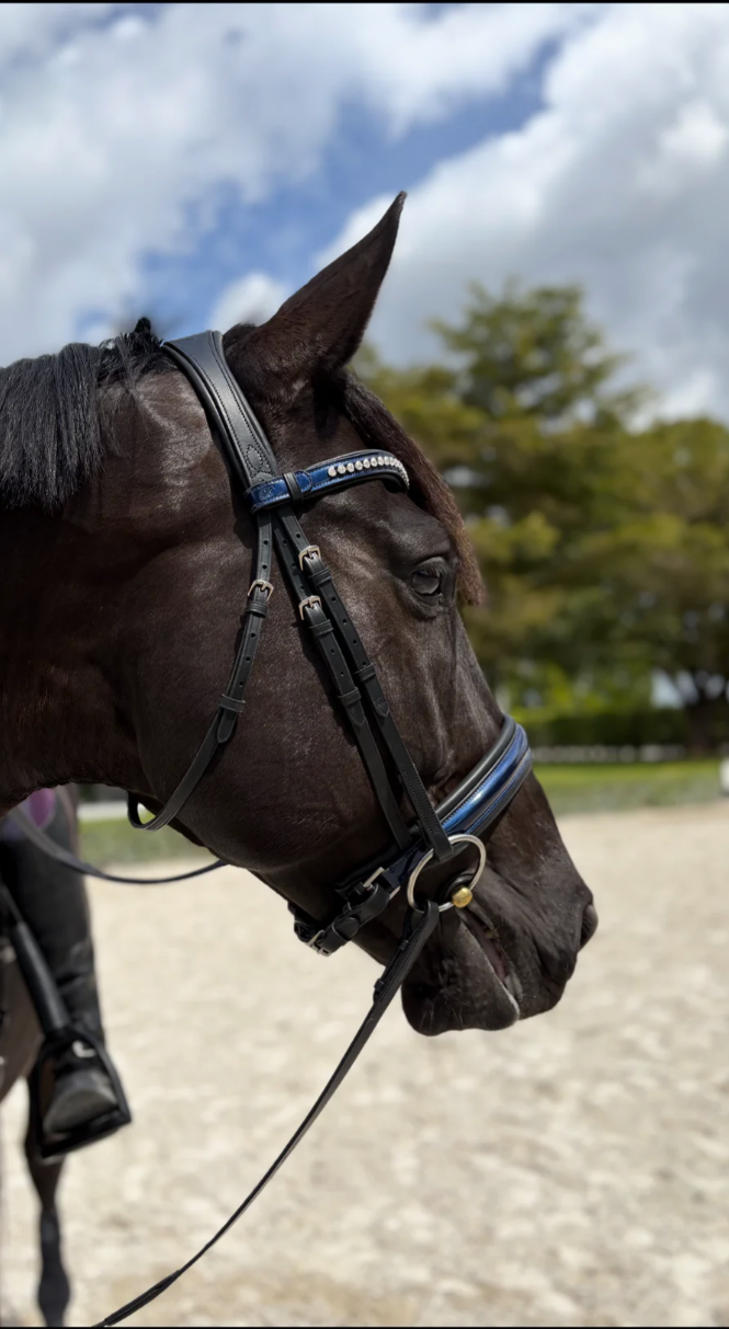 Bridleberry Bridleberry #57 Extra Padded Snaffle Bridle, BLUE Patent Leather Noseband & Crystal Browband