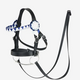 LeMieux Hobby Horse Showing Bridle
