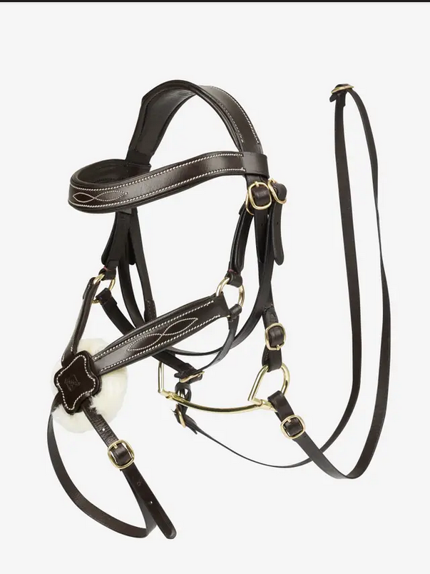 Hobby Horse Bridle