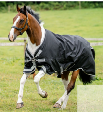 Amigo Amigo® 1200D Turnout 0g