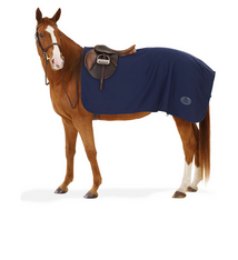 CENTAUR Turbo-Dry Exercise Sheet Navy