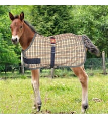 Baker 5/A Baker® Expand-O-Blanket Turnout for  Foal & Pony