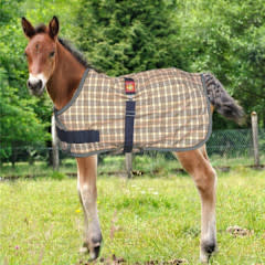 Baker 5/A Baker® Expand-O-Blanket Turnout for  Foal & Pony