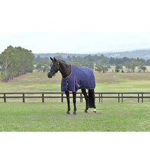 Weatherbeeta Weatherbeeta Comfitec Essential TO 220G Navy/Burgundy