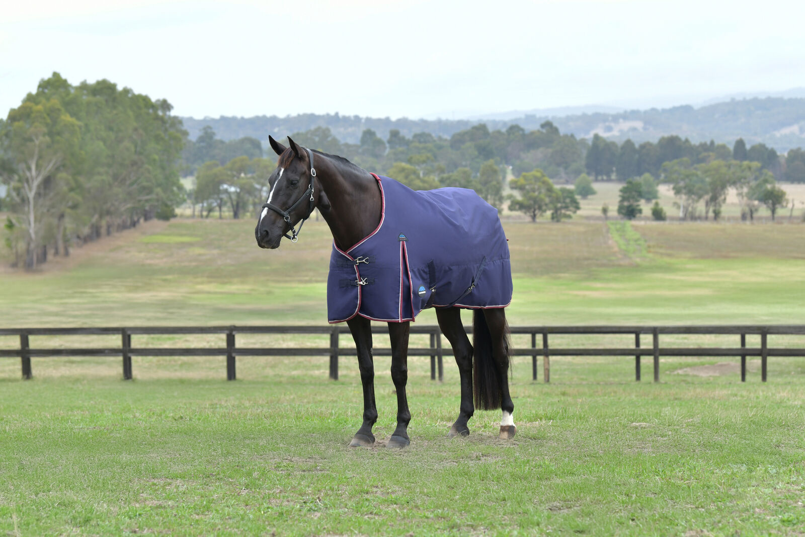 Weatherbeeta Weatherbeeta Comfitec Essential TO 220G Navy/Burgundy