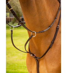 LeMieux Arika Running Martingale