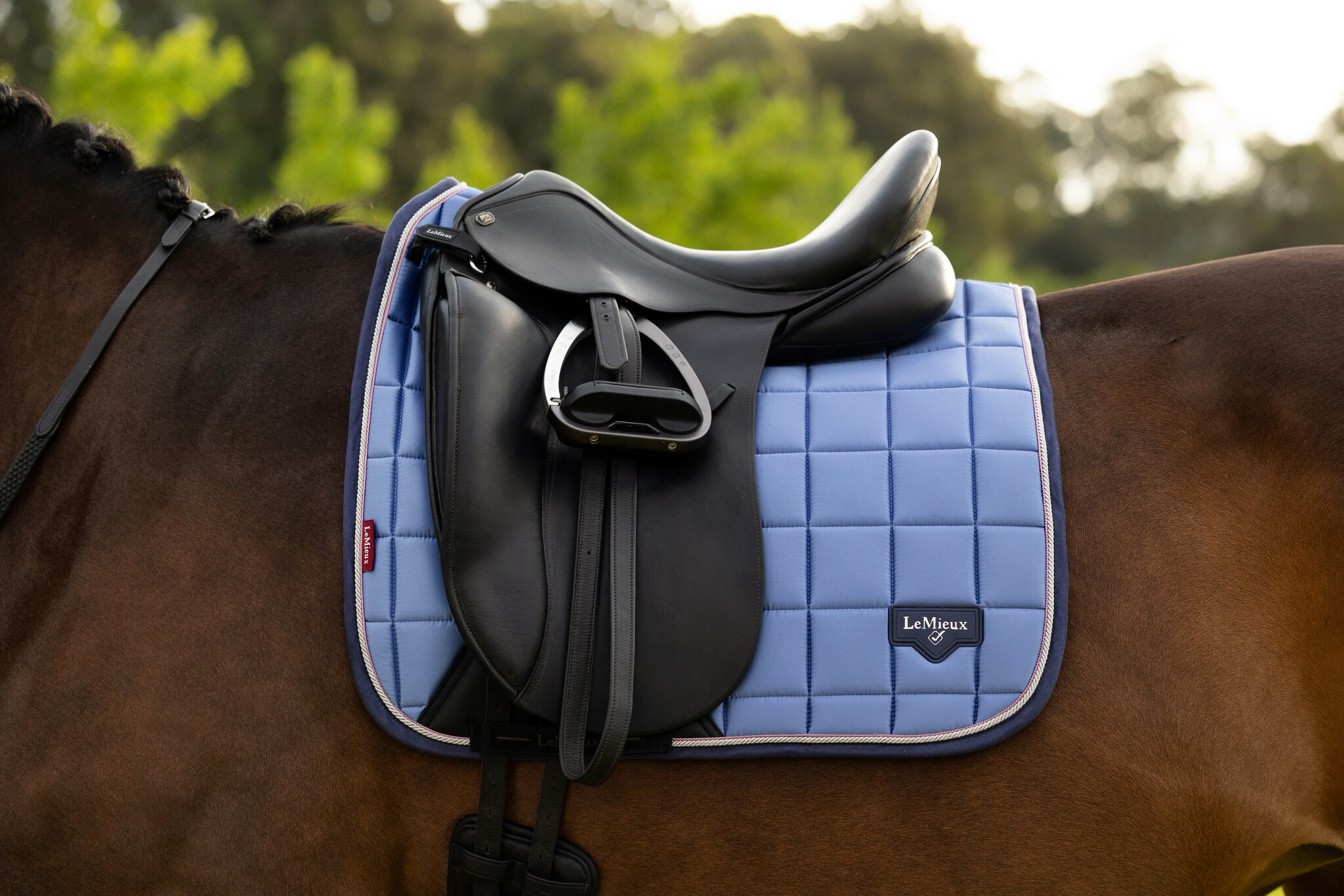 LeMieux LeMiuex Loire Classic Dressage Square