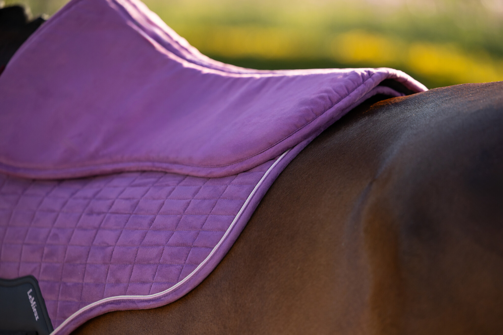 LeMieux LeMieux Suede Half Pad