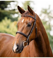 Horseware Horseware® Hunter Bridle