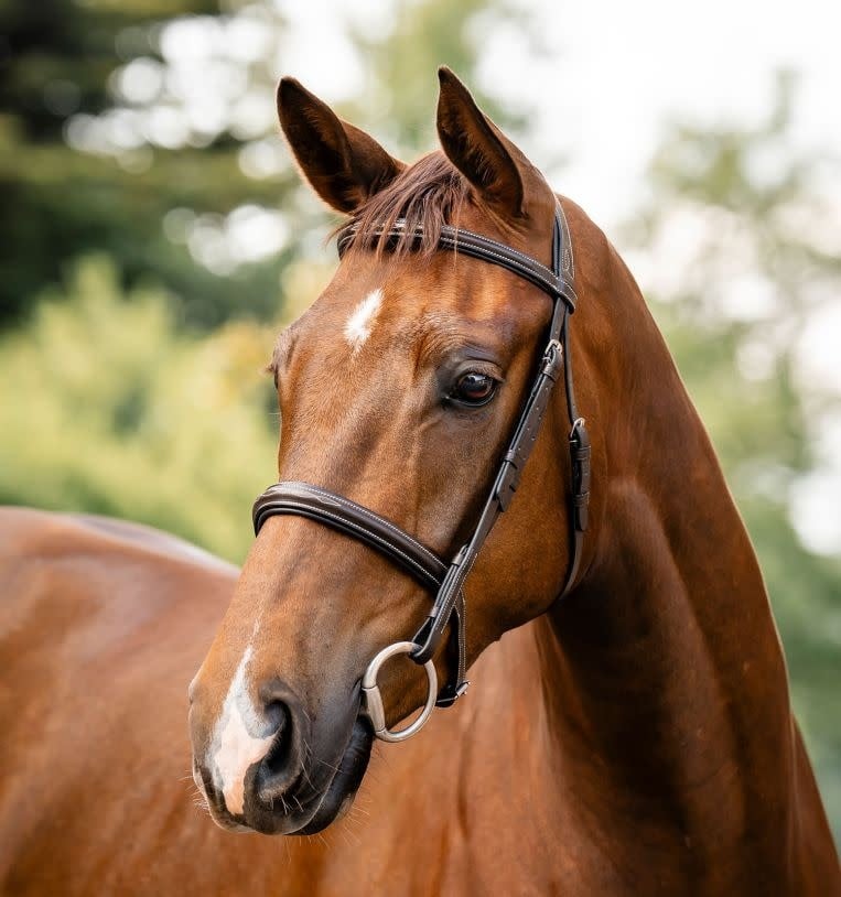 Horseware Horseware® Hunter Bridle