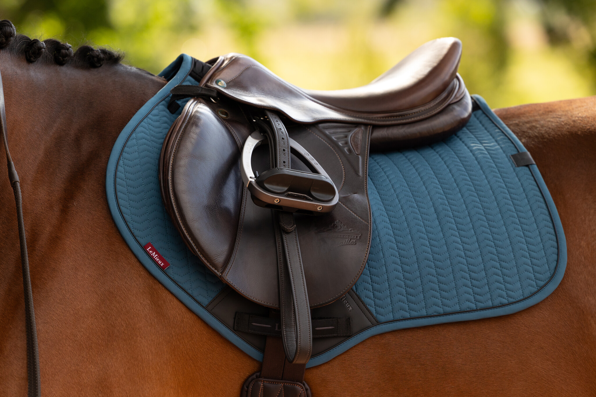 LeMieux Lemieux Essence CC Square Saddle Pad