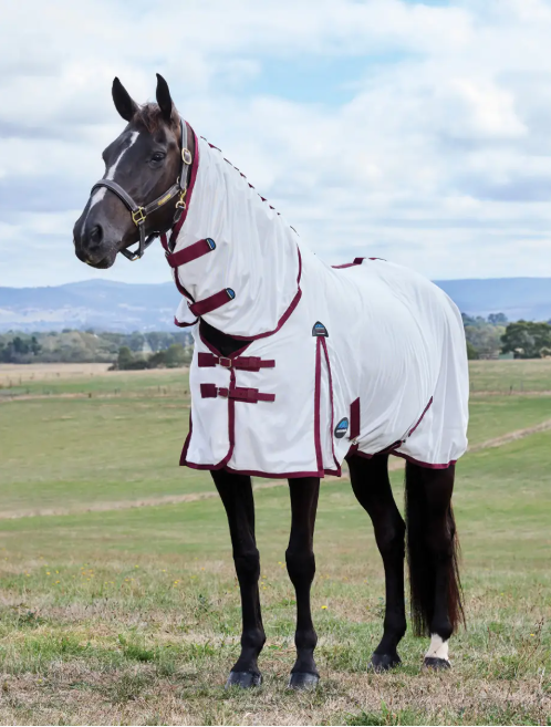 Weatherbeeta WEATHERBEETA COMFITEC ESSENTIAL FLY SHEET COMBO WHITE/BURGUNDY