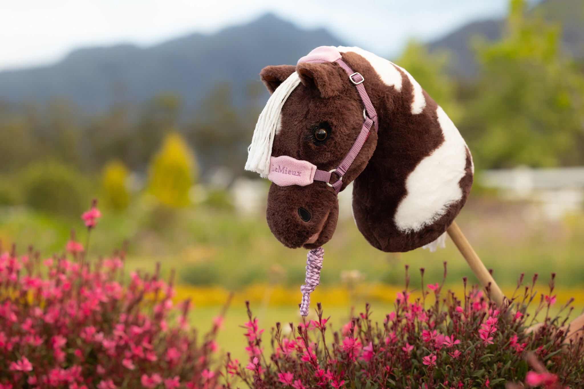 LeMieux LeMieux Hobby Horse Vogue Headcollar and Leadrope