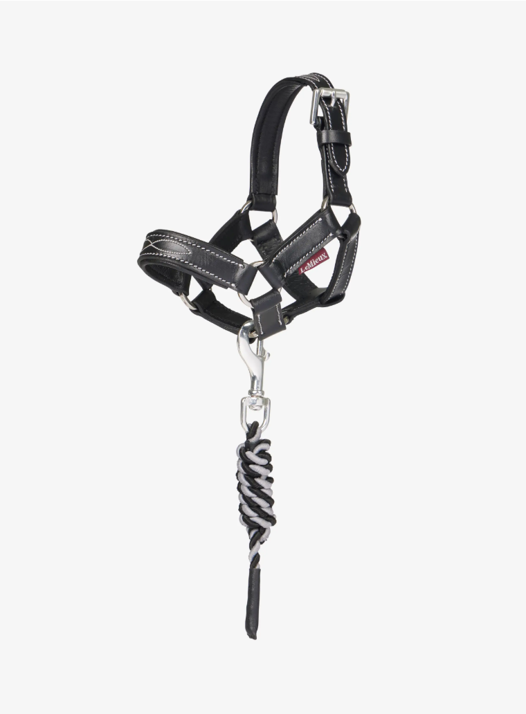 LeMieux Toy Pony Leather Headcollar & Leadrope Black One Size