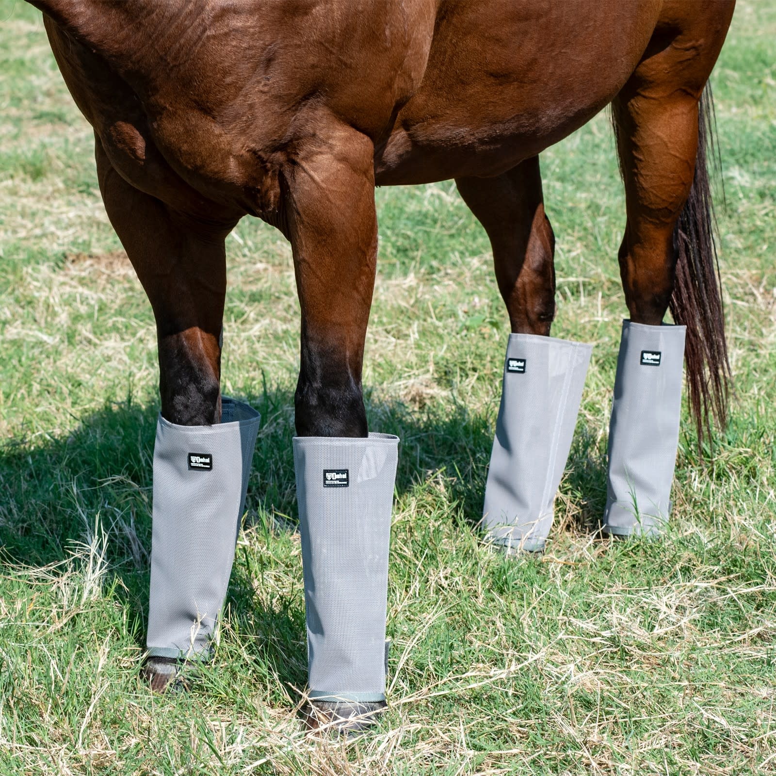 Cashel Crusader Fly Leg Guards, Set of 4