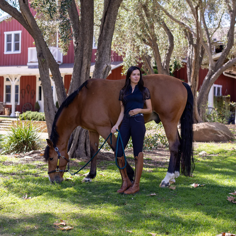 Halter Ego Evolution Mystigue full seat breech