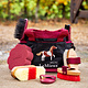 LeMieux Mini Grooming Kit