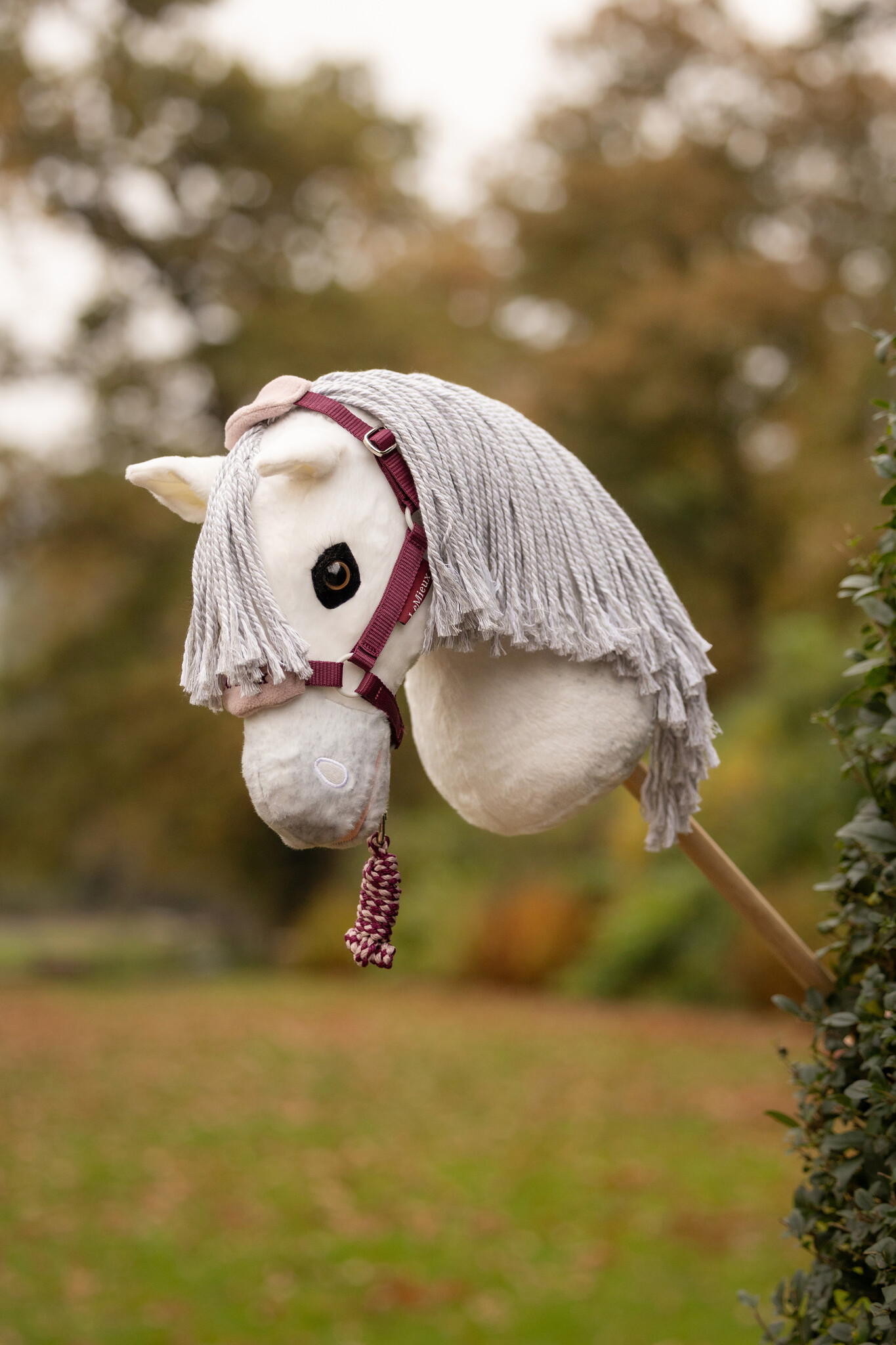 LeMieux LeMieux Hobby Horse Vogue Headcollar and Leadrope