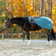 Equinavia Equinavia Norse Fleece Quarter Sheet