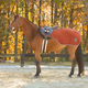 Equinavia Equinavia Norse Fleece Quarter Sheet