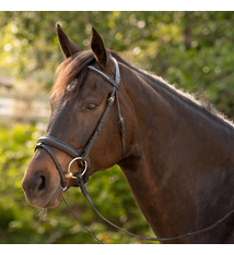 Equinavia Equinavia Saga Dressage Crank Noseband Bridle & Reins - Black