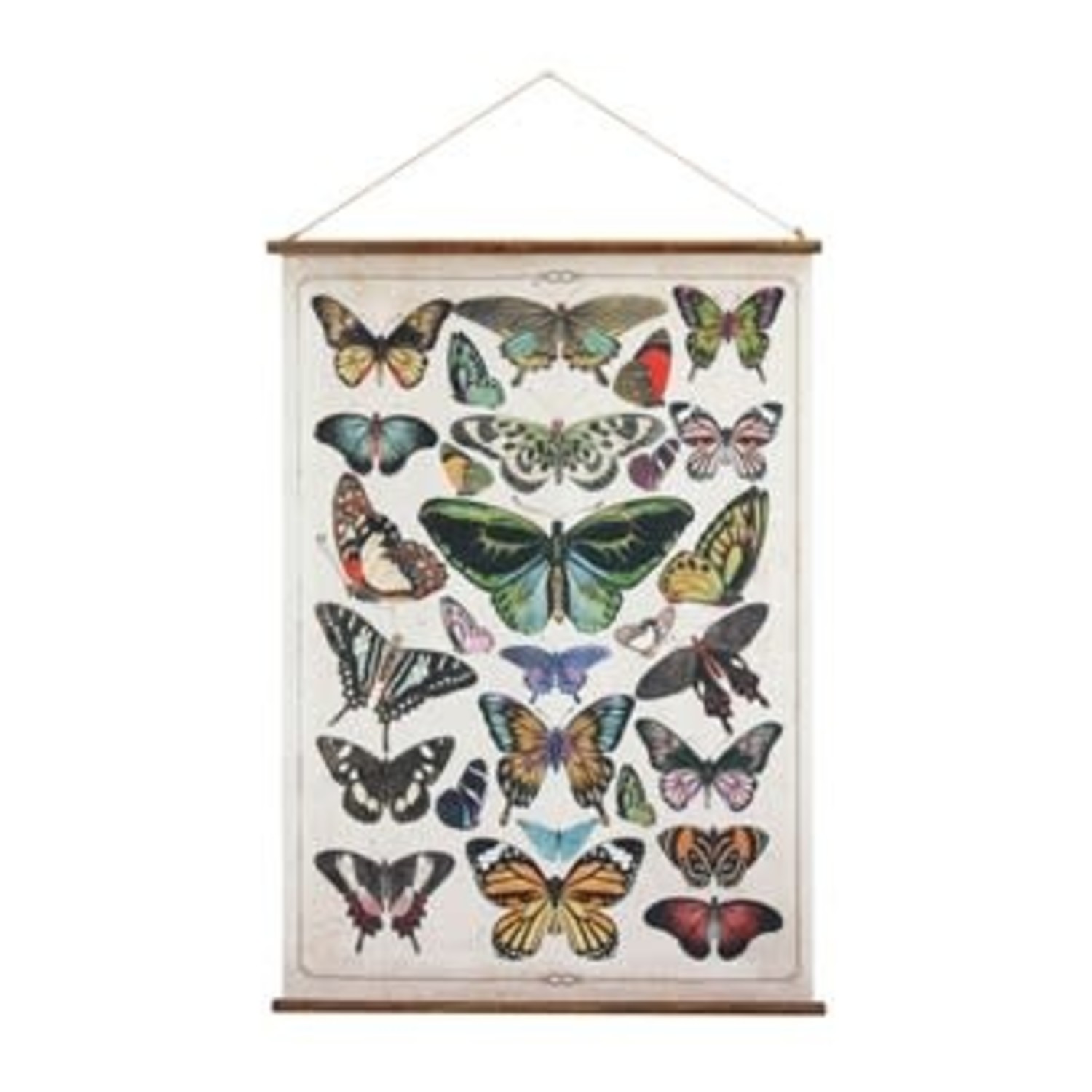 Creative Co Op Scroll Wall Decor Butterflies Terra Verde