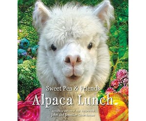 Alpaca Lunch Terra Verde Boutique