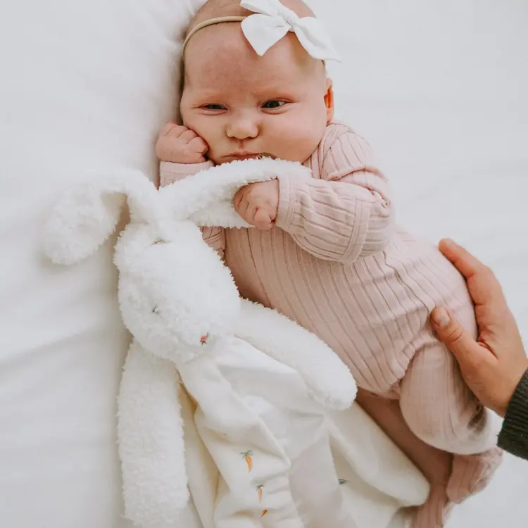 Bun Bun Bunny Buddy Blanket