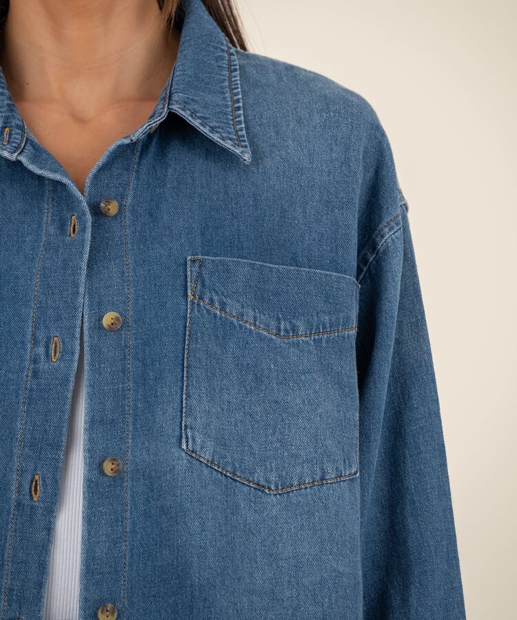 Kut from the Kloth / STS Blue Gertie Button Front Denim Shirt