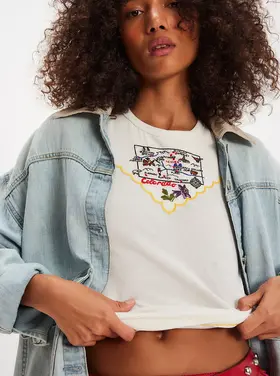 Free People Wild Country Tee- Colorado