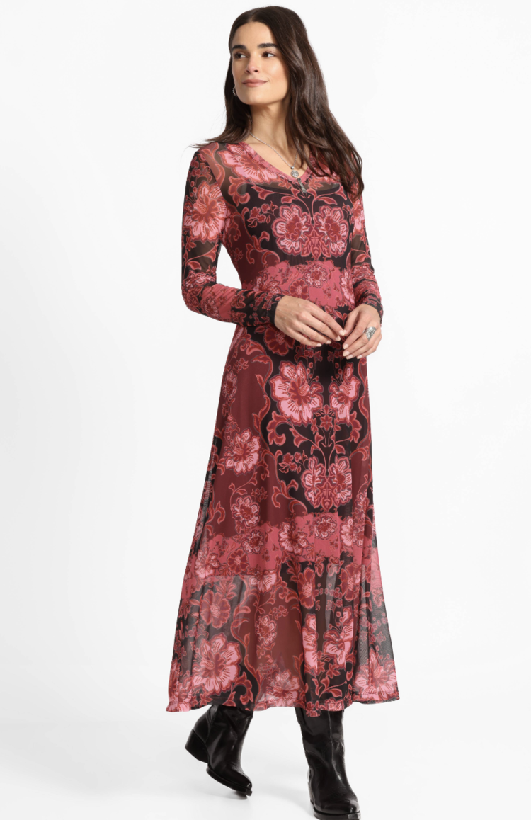 Johnny Was Mesh V Neck LS Maxi Dress