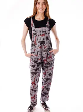 Dino Print Overalls