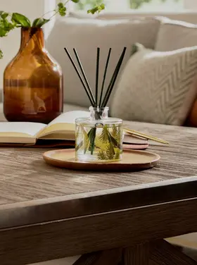 Thymes FFr Petite Pine Needle Diffuser