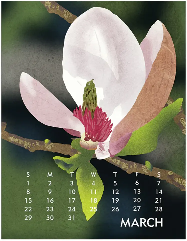 Linnea 2026 Desktop Calendar