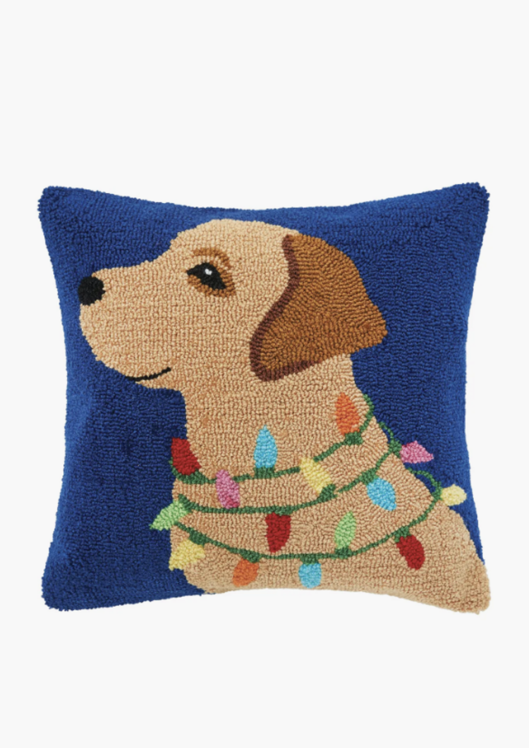 Lab & Lights Pillow