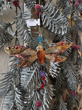 Bright Wings Dragonfly