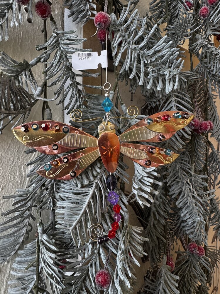 Bright Wings Dragonfly