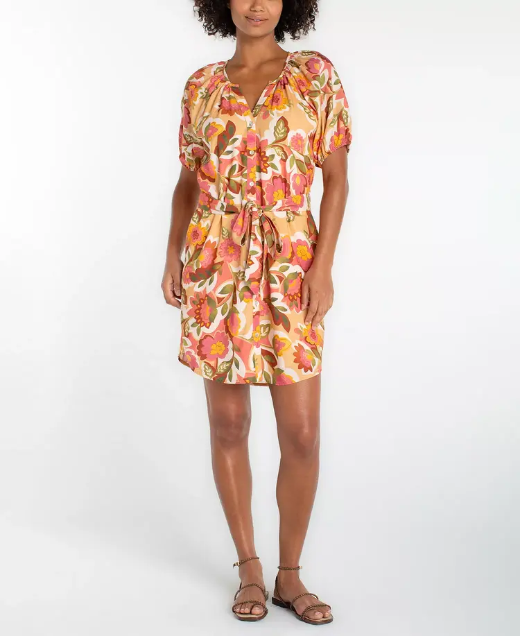 Liverpool Los Angeles SS Shirred Dress