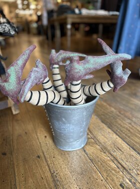 Witches Feet