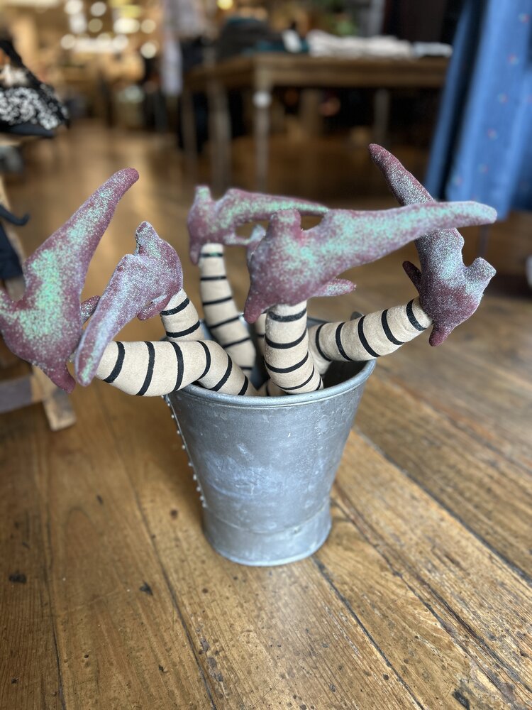 Witches Feet