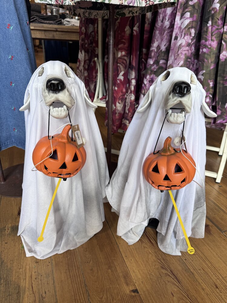 Creative Co-Op Plastic Skeleton Dog in Ghost Sheet with LED Jack-O-Lantern Light (Batteries Included)
