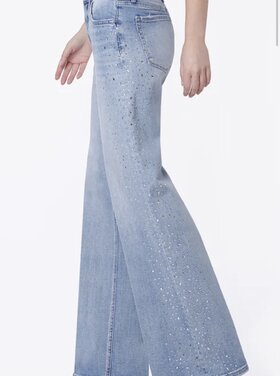 Flying Monkey Wide Leg Jewel Pant Hi Rise